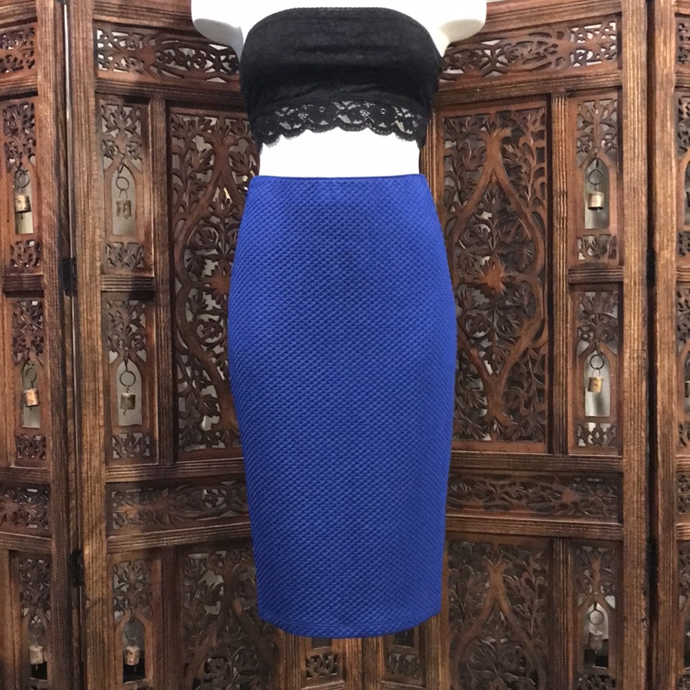 Blue Pencil Skirt